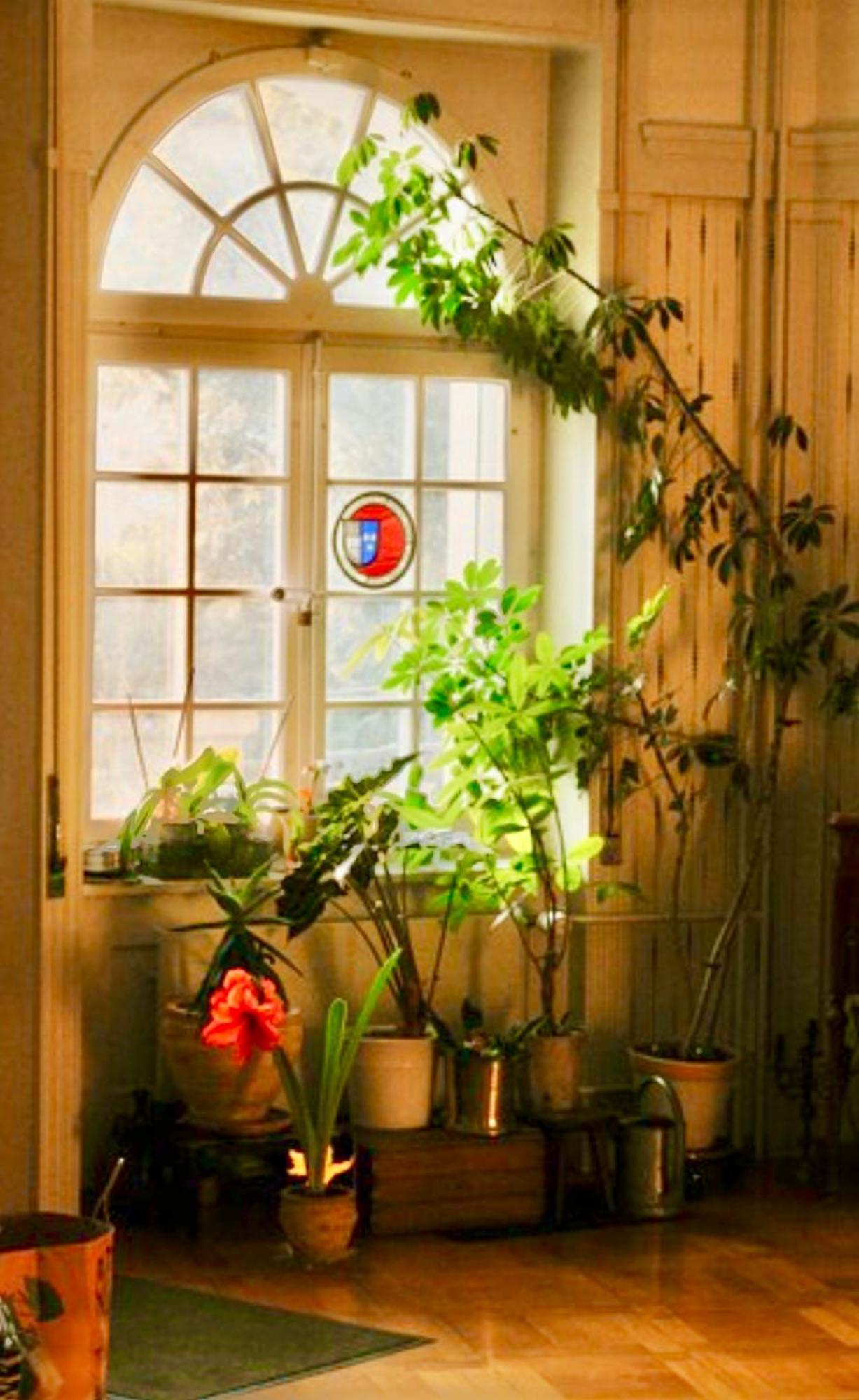 Bed And Breakfast Wildrose Berno Zewnętrze zdjęcie
